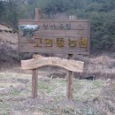 약초농원민박