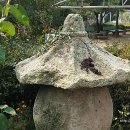 인천영락원 이미지