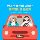 제주가족사랑카시트 네이버블로그