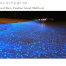 조이피스 이미지