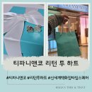 💍 티파니앤코 리턴 투 하트 귀걸이 후기 💙+ 유료세척 전환 후기까지!