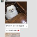 해운대 플러스동물병원 이미지