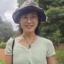 영광 불갑사 대웅전 | 불갑사 선운사 상사화 리무진버스 당일여행 후기1