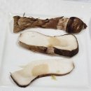 요리사 횟집 | 수영- 산뜻하고 생동감 있는 <요리사 횟집>