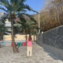 구오 베이커리 이미지