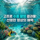 서림테크 | 고프로 여행 영상, 물놀이 촬영 전 필수 체크리스트 3가지