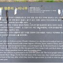 행촌리 Daum카페