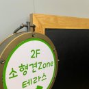 개떼월드 이미지