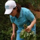 팔령초등학교 이미지