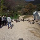 숲속청계농장 이미지