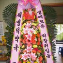 새명덕약국 이미지