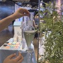 향지 - 강남구 | [후기] 멘탈케어 브랜드 '아로마케미' 마음정원 후기 (체험 소개, 뇌파검사, 소나기 향 후기, 언박싱)