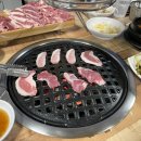 뽈살집 한림점 티스토리