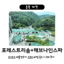 호텔나인스톤 | 제천 포레스트 리솜 S30 + 해브나인 스파 후기 / 스톤스파 웨이팅 / 쉐이크쉑 트레일러