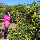 맛조아농장 이미지