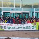 그린스포츠 - 증평군 삼보로 11 | 그린스포츠