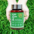 잔티 | 카테킨 아세로라 잔티젬 300mg 아메리카노 내돈내산 후기