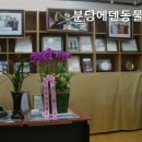 분당에덴동물병원 네이버블로그