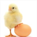 문 휘트니스 이미지