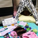 2018프리미엄펫쇼in일산 후기♡