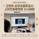 24시스마트동물병원(신사본점) | 스마트동물병원 신사본원 고양이 심장 초음파 잘보는 강남 압구정 동물병원