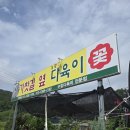 [진주 가볼만한곳] 당근 보고 찾아간 식물 천국, 푸릇함 가득한 '기찻길옆 다육농원' 솔직 방문 후기