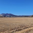 온양새싹유치원 이미지