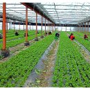 안이하우스 이미지