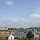 비눔(Vinum) | 포르투 Day 2｜그라함 와이너리 투어 + 레스트랑 비눔 VINUM 후기