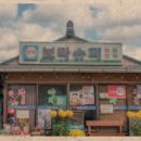 보라네슈퍼 네이버블로그