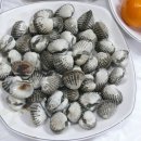 팔도여관 이미지