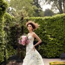 에이메드 이미지