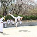 경희대 박사 태권도장 이미지