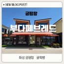 궁평항로 1L | [경기 화성 ]궁평항 신상카페 햇살 맛집 겉바속촉 인생 굴뚝빵 '부다페브레드'방문후기
