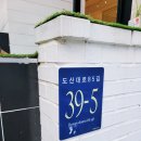 시바견 분양 루이몽 강남본점 이미지