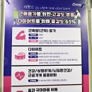 죽전로-2 | 보정동 죽전 헬스장 추천 커브스 30분 운동 여성전용 다이어트 솔직후기