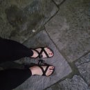 파니 게스트하우스 이미지