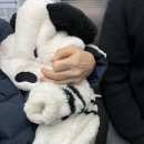 해피케어 군산지점 | [해피케어 용인지점] 산후도우미 후기 이ㅇ익 관리사님 추천