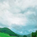 대관령로뎀나무 | 대관령펜션 평창펜션추천 양떼목장과 가까운 대관령로뎀나무펜션