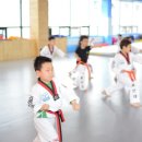 블루드래곤 태권도 이미지