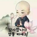 ◇중년 여성에 특히 좋은 풋고추와 잔멸치 이미지