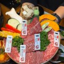 모토이시 이미지