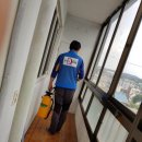 페스콤방역 이미지