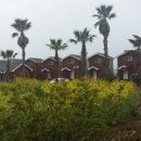 대평수산 이미지