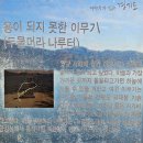 한국인이 꼭 가봐야 할 한국관광 100선 두물머리 세미원 이미지