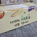 농수축마트 | 가을과일의 왕 영암몰 금정 대봉감 영양간식으로 좋아요