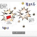 나라꽃안경 이미지