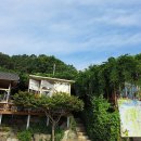 계룡산묵사랑 이미지