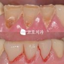 고호치과의원 이미지