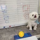 안양유치원 이미지